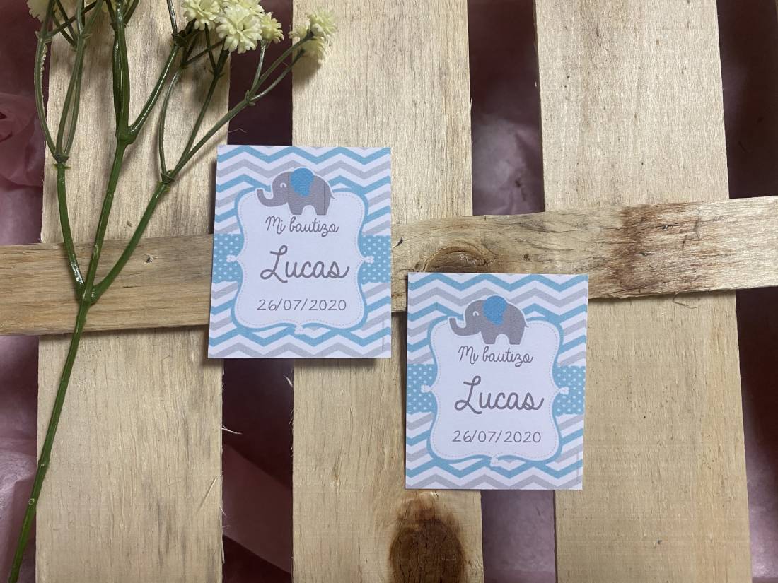 Tarjeta detalles fondo elefante